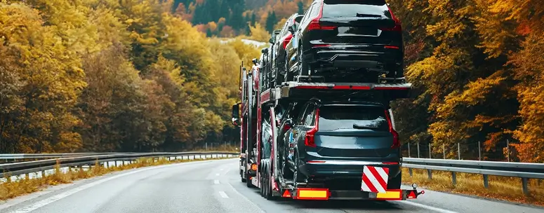 Наши водители перевезли более 5321 автомобилей.